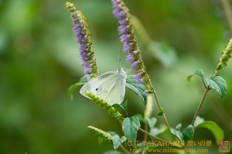 ../Images/7R240928 (76).jpg